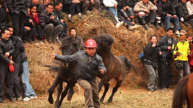 不甘落后—生肖马,精选解析与落实的详细结果 不甘落后—生肖马,精选解析与落实的详细结果