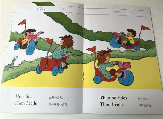 搔头摸耳，揭秘傻呆呆背后的生肖玄机与绝佳解释落实