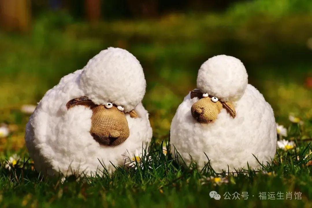 打一生肖，友谊的温暖与智慧的火花—以羊为例的友爱解读