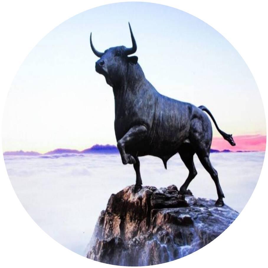 牛前机后打一生肖、通用解释落实