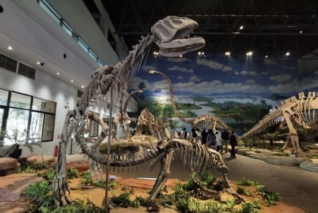 恐龙与生肖，一场跨越时空的谜题