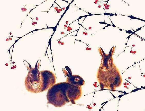 词不达意，生肖揭秘，精选解析与落实的详细结果