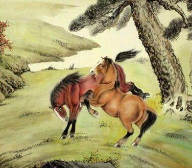 以谦卑之心，引领非凡之路—解读高高在上打一生肖的深层寓意