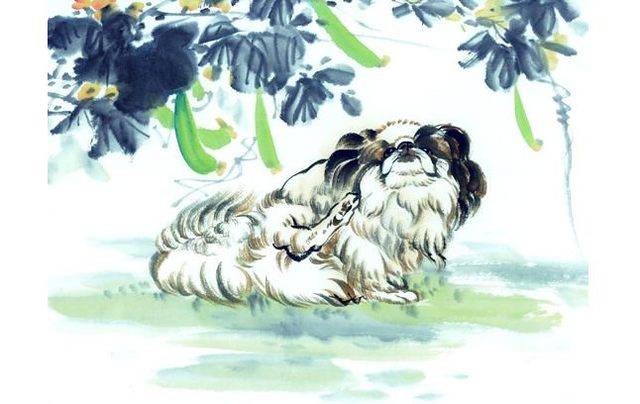 谁怕狗打一生肖、精选解析与落实的详细结果 谁怕狗打一生肖、精选解析与落实的详细结果