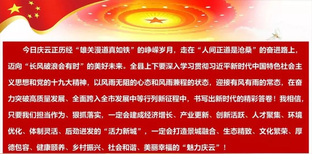 楷打一生肖，精准解答与落实精神的深度探索