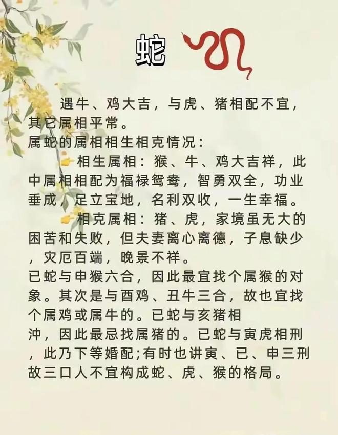 谜语解特肖,探寻生肖背后的智慧与时代解释 谜语解特肖,探寻生肖背后的智慧与时代解释