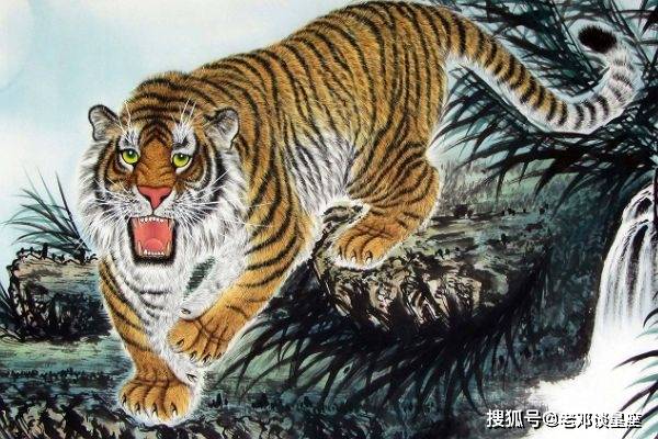 石打一生肖、绝佳解释落实