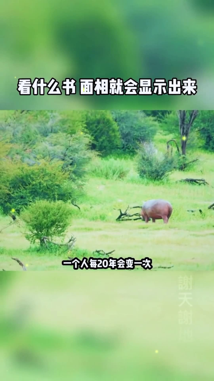 相由心生,生肖鼠的启示与人生哲理 相由心生,生肖鼠的启示与人生哲理