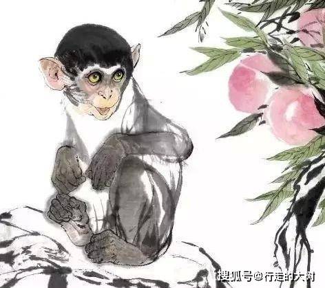 心猿正处打一生肖、一场误导解释的落实与反思