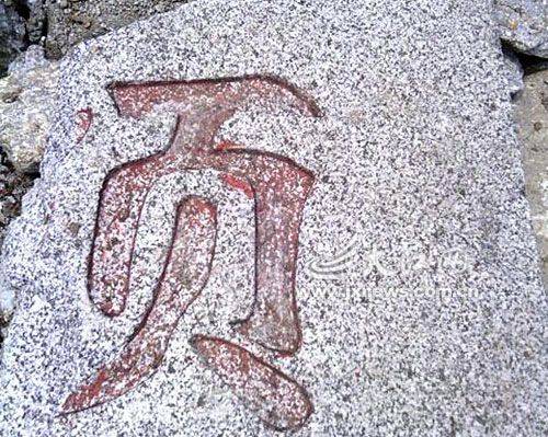 四零八落打一生肖、神秘解释落实