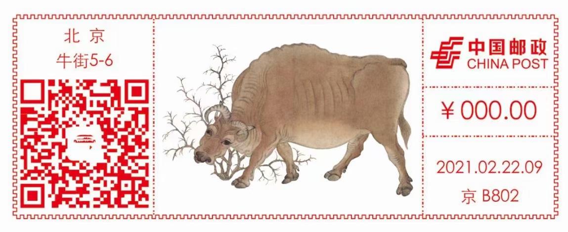 敬姜犹绩打一生肖动物、揭秘如何选择并落实正确的