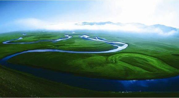 西方净土的智慧，生肖鼠的动物智慧与战略运用