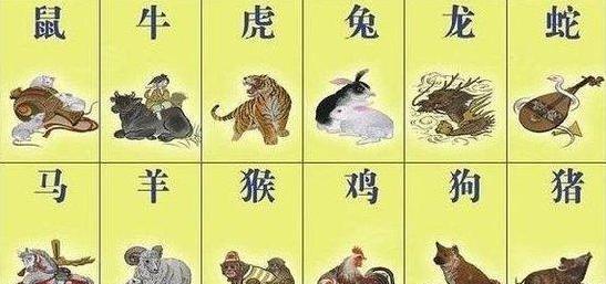 天上人间与生肖数字的智慧，探寻背后的哲理