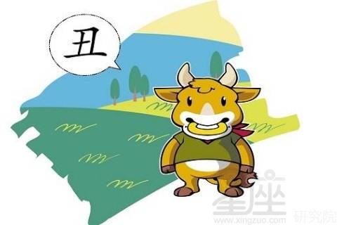 事后诸葛亮与生肖之谜，以牛为鉴，佩服作答，落实解释