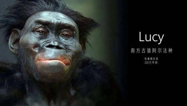 兵临城下打一生肖动物、能人解释与现代生活的落实 兵临城下打一生肖动物、能人解释与现代生活的落实