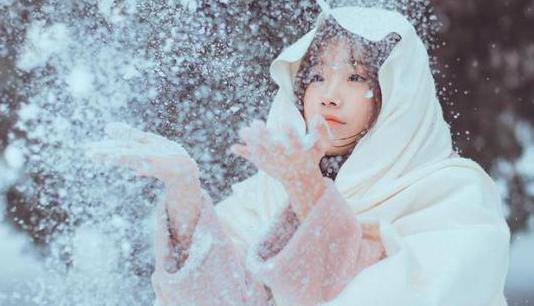 春心萌动打一生肖、的动物智慧与战略运用