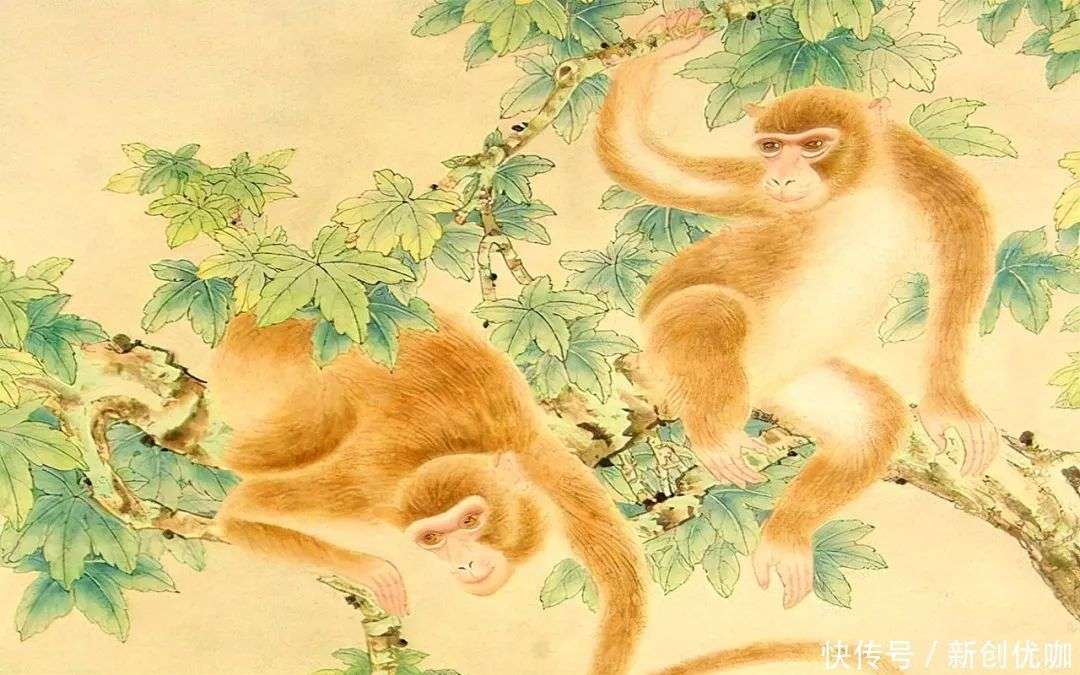 才貌双绝打一生肖、精选解析与落实的详细结果