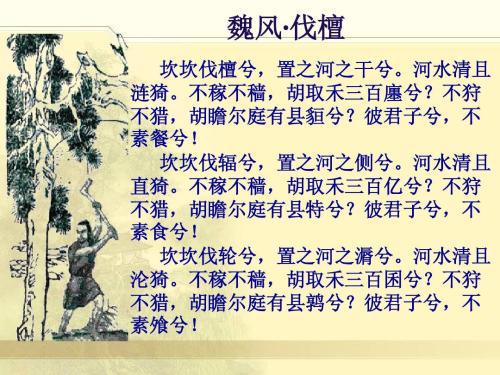 揭秘，什么生肖最狡猾？揭秘生肖之鼠的智慧与狡黠