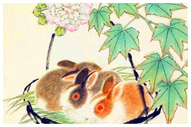 朝气蓬勃的生肖，兔—积极作答，落实解释