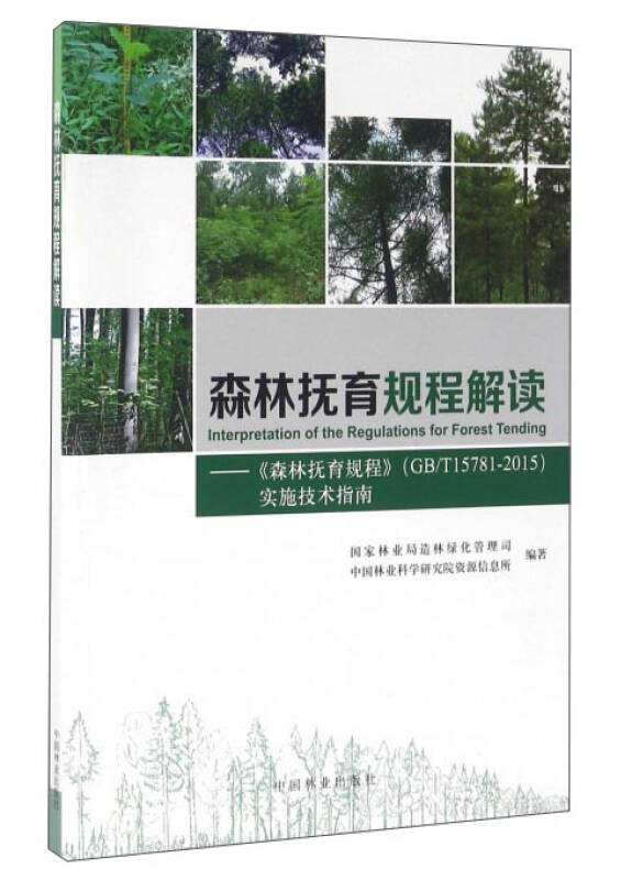 过河卒子与生肖之谜，绝佳解释落实的智慧之旅