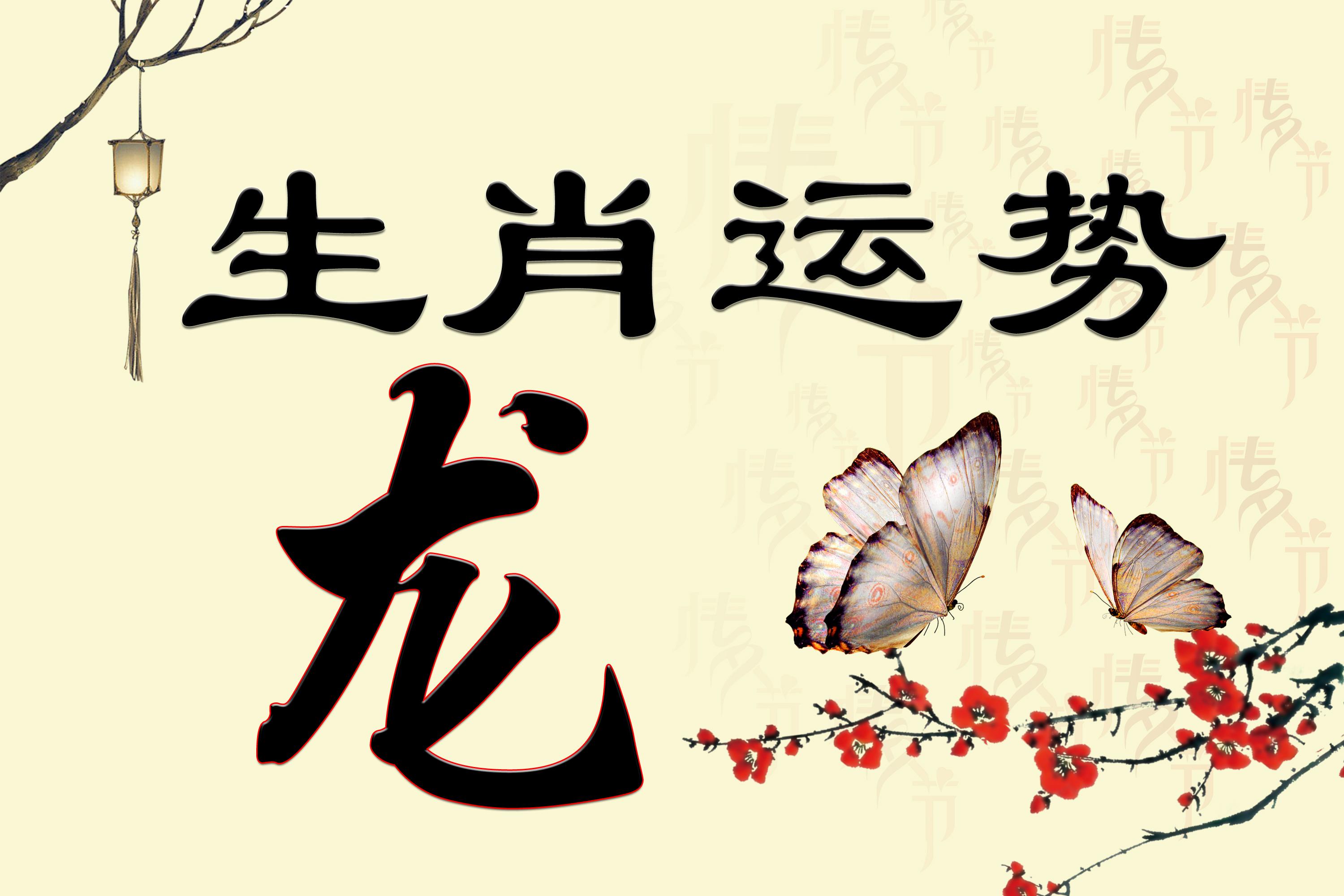 喜不胜收打一生肖，全面揭晓与解释落实