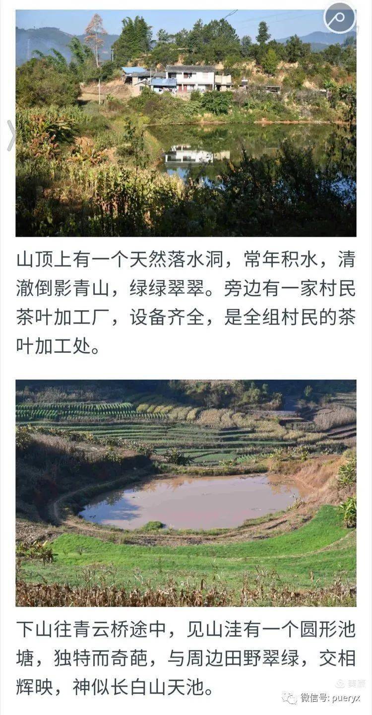 山清水秀打一个生肖、精选解析与落实的详细结果