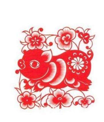 受宠若惊打一生肖、喜欢作答落实解释