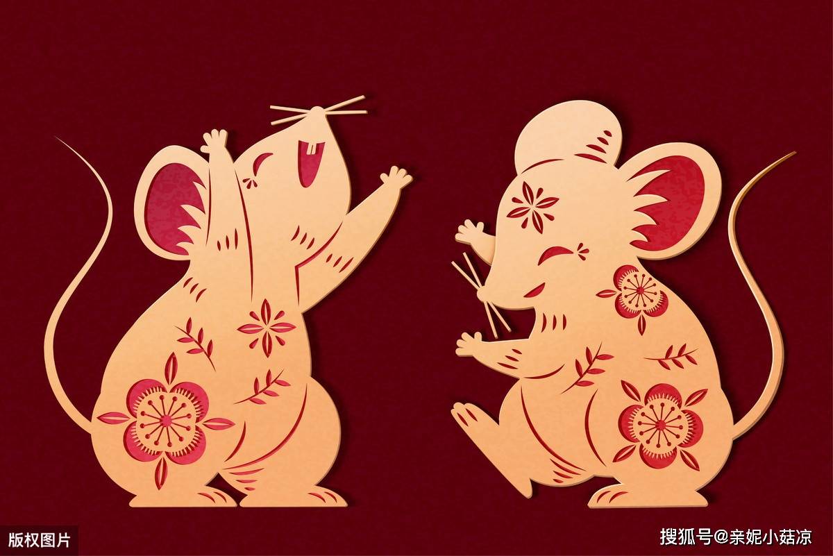 鼠边的打一生肖，一场误导解释的落实与反思