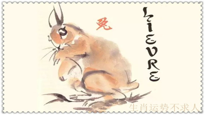 积重难返的生肖谜底，最快解答与落实的智慧