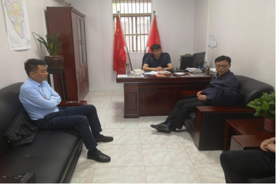 玉叶金柯与积极行动，生肖之谜的完美结合