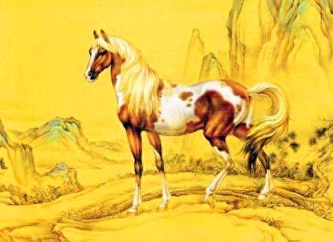 白马非马，生肖之谜背后的坚韧与不屈