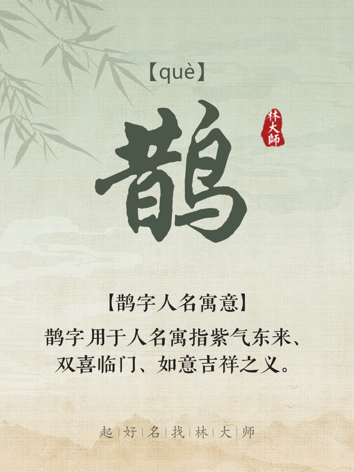 鹊字打一生肖,揭秘背后的文化寓意与智慧 鹊字打一生肖,揭秘背后的文化寓意与智慧