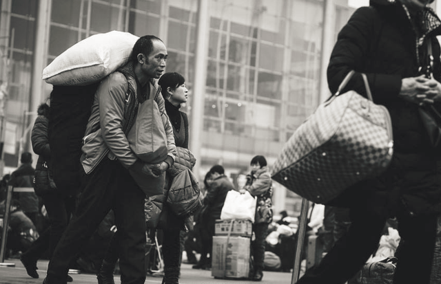 背井离乡打一生肖、实证解释落实