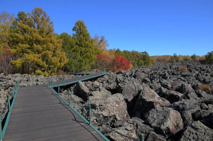 蜿蜒曲折打一个生肖、正确解释与落实