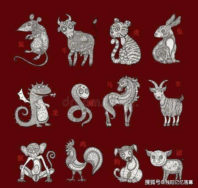 六报喜五来合，解密生肖之谜与发现、作答、落实的智慧