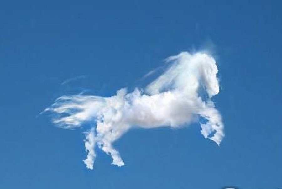 浮云野马打一生肖，深度解析与文化寓意