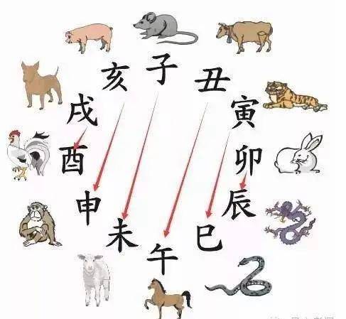 赫赫有名与生肖之谜，揭秘绝佳解释的背后