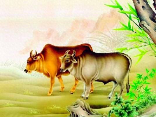 一牛鸣与积极行动，生肖牛的启示与人生哲思