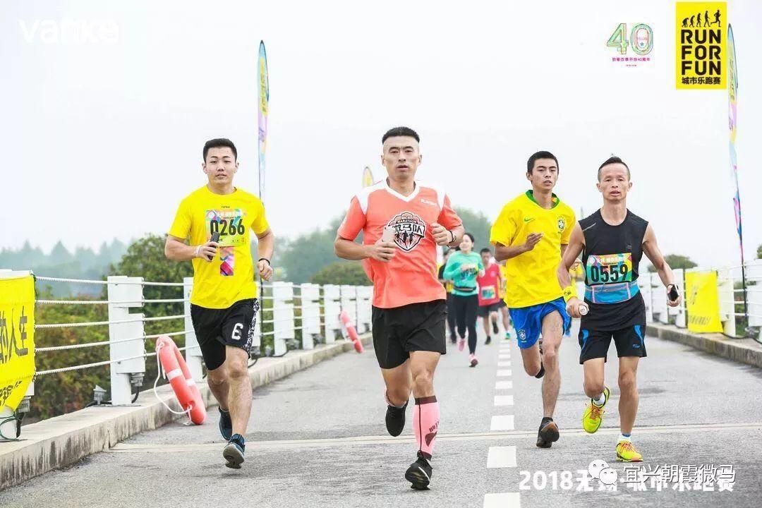 力争上游的生肖启示，以龙为榜样，激励我们勇往直前