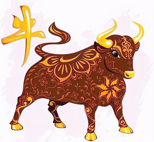 揭秘四七相合二中三，生肖预测的智慧与误区