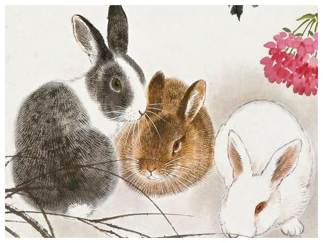 弓打一生肖，揭秘生肖兔的非凡之处