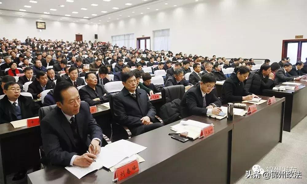 一二五八打一生肖、背后的坚韧与不屈