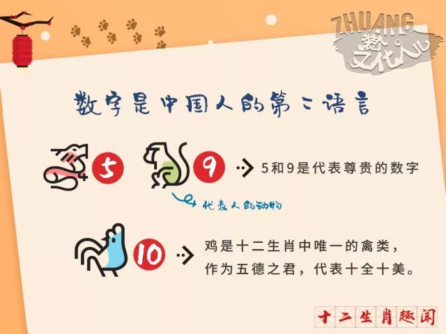 万无一失的智慧，生肖数字与时代解释落实的奥秘