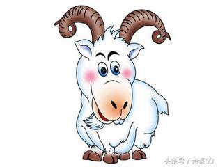 虚荣心打一生肖、团结解释落实