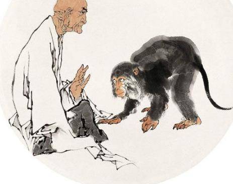 趁人之危打一生肖，背后的智慧与策略