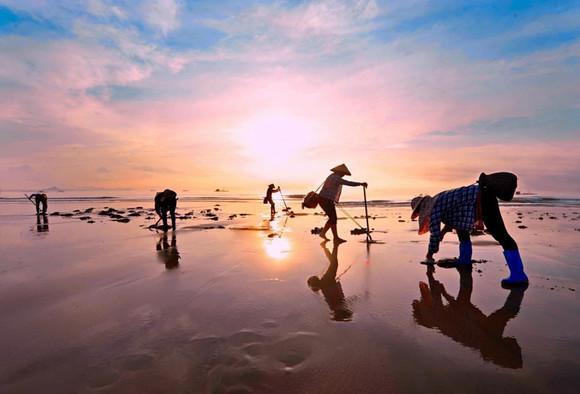 声当闹钟打一生肖，晨曦中的智慧启示