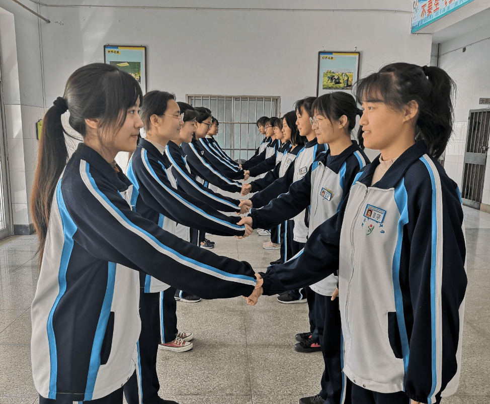 桃花打一生肖、神秘解释落实