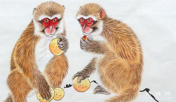 朝三暮四好生肖打一肖、精选解析与落实的详细结果