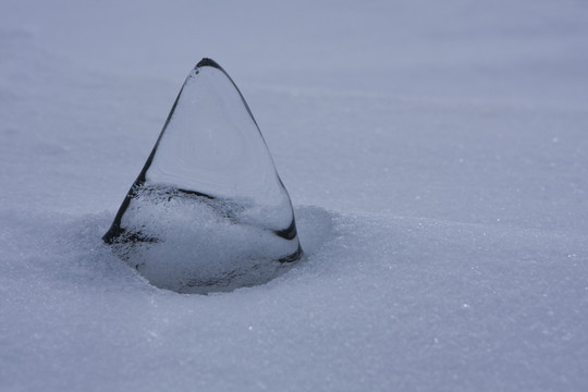滴水成冰打一生肖、相信作答落实解释