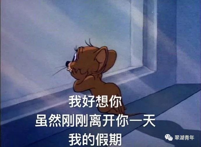 寒风中的智者，天气冷打一个生肖—鼠的生存智慧与战略运用